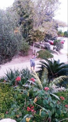 Трое в "Микре" не считая собаки (Мертвое море)