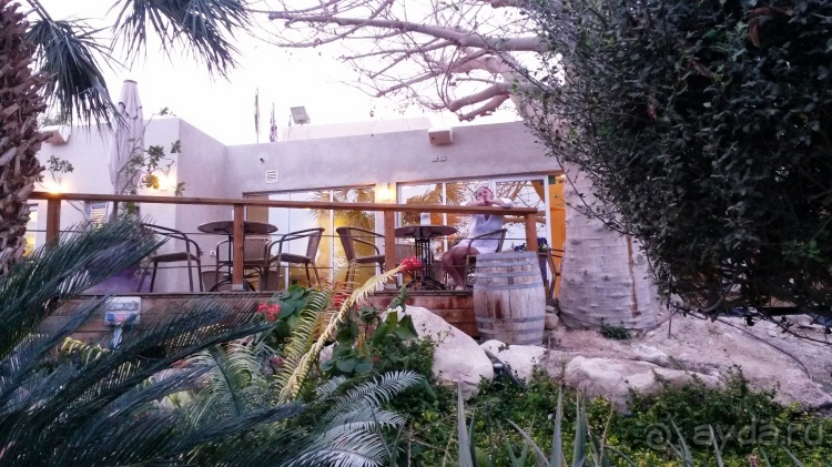 Трое в "Микре" не считая собаки (Мертвое море)