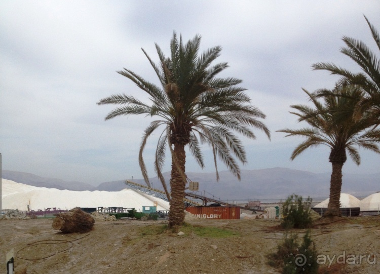 Трое в "Микре" не считая собаки (Мертвое море)