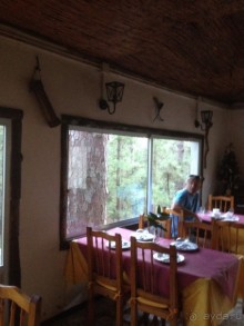 Тенерифе. Леса Эсперанса