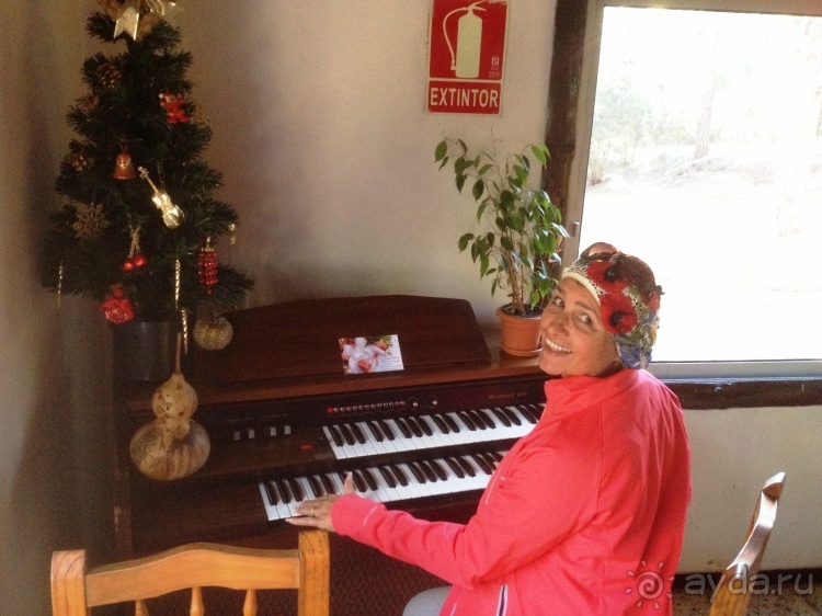 Тенерифе. Леса Эсперанса