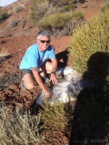 Тенерифе. Леса Эсперанса