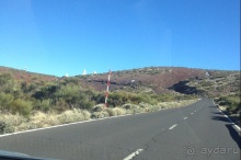 Тенерифе. Леса Эсперанса