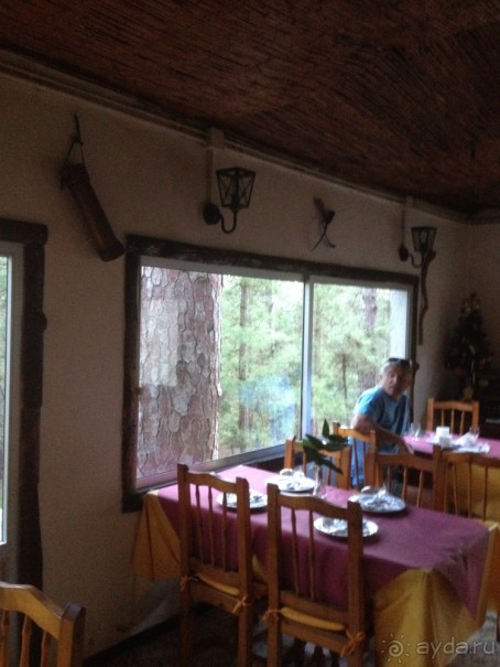 Тенерифе. Леса Эсперанса