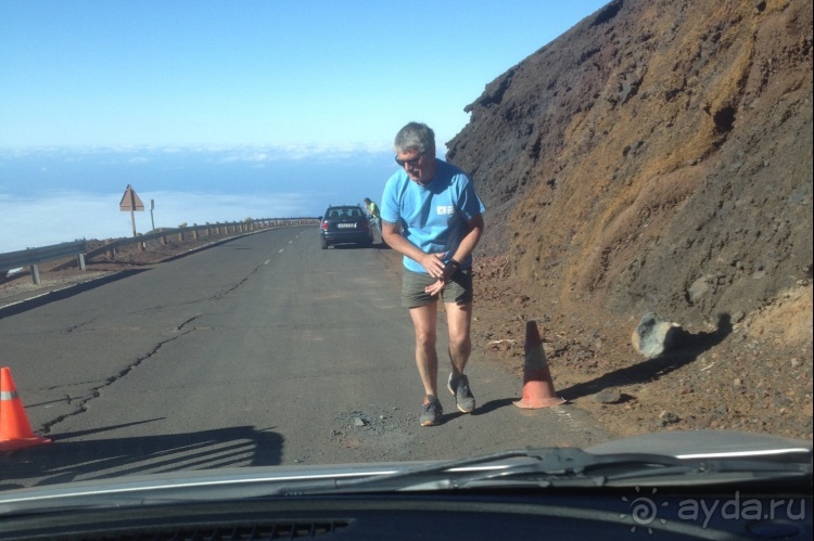 Тенерифе. Леса Эсперанса