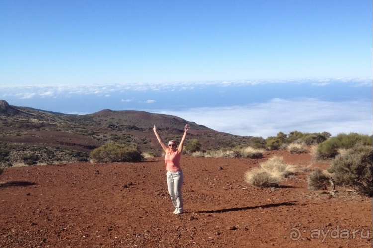 Тенерифе. Леса Эсперанса