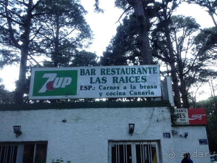 Тенерифе. Леса Эсперанса