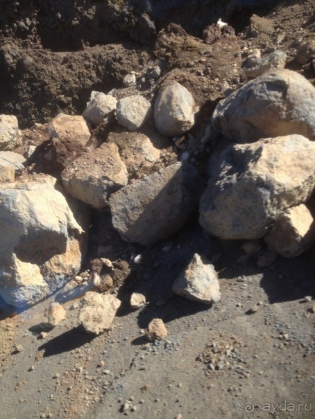 Тенерифе. Леса Эсперанса