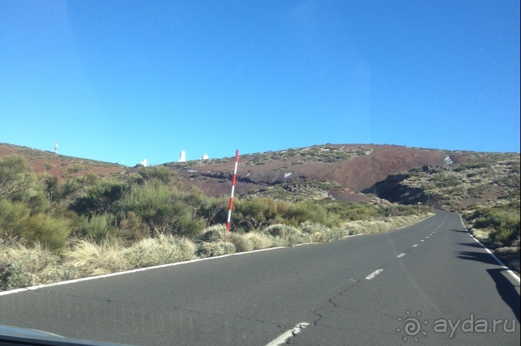 Тенерифе. Леса Эсперанса