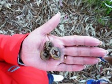 Тенерифе. Сантьяго дель Тейде