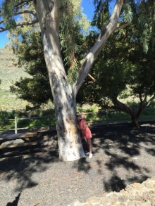 Тенерифе. Сантьяго дель Тейде