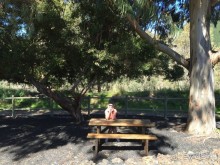 Тенерифе. Сантьяго дель Тейде