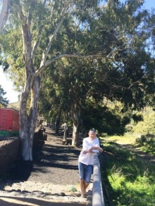 Тенерифе. Сантьяго дель Тейде