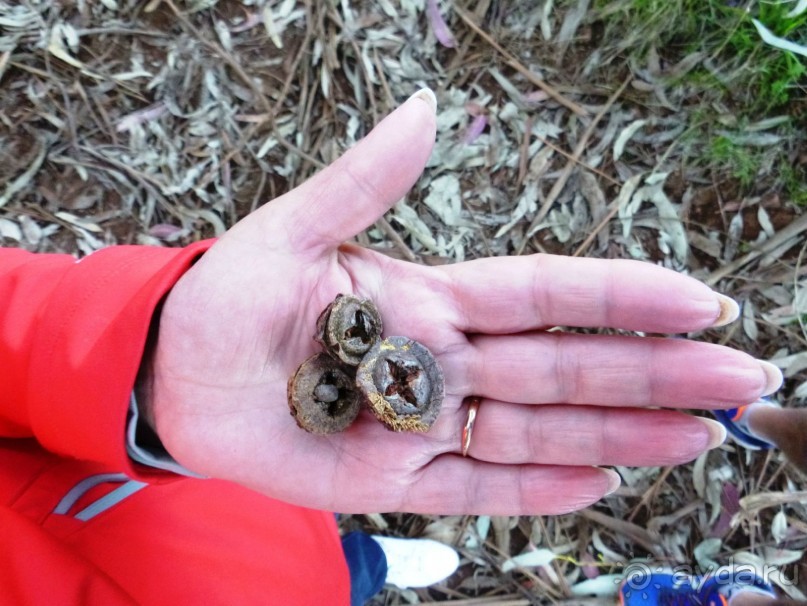 Тенерифе. Сантьяго дель Тейде