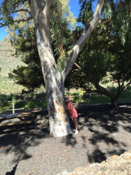 Тенерифе. Сантьяго дель Тейде