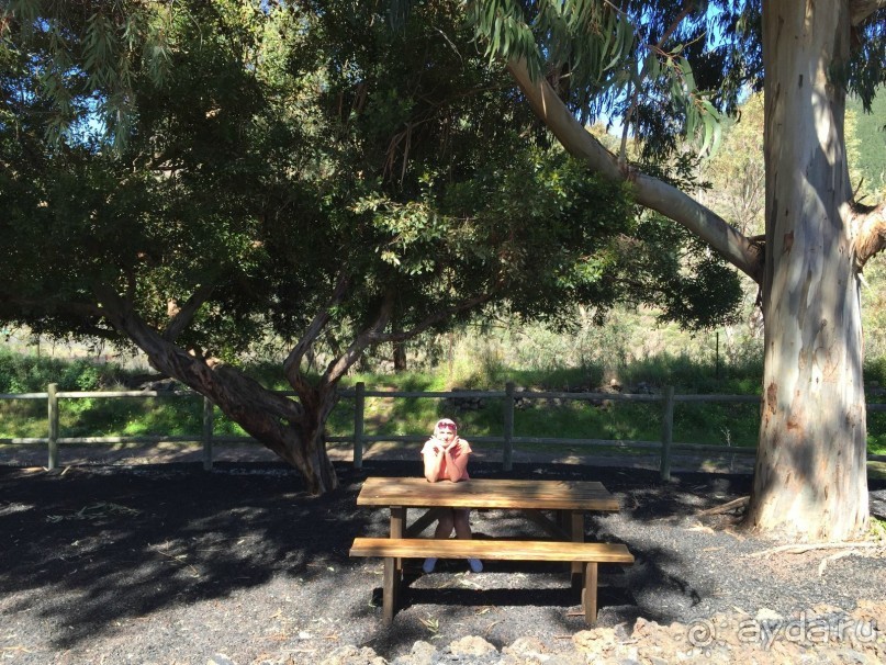 Тенерифе. Сантьяго дель Тейде