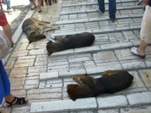 Из Дубровника в Мостар на автомобиле