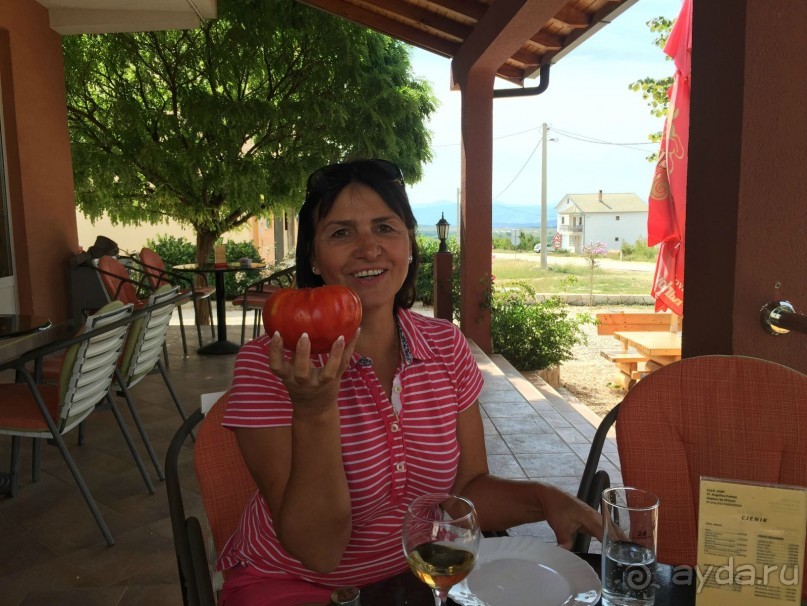 Из Дубровника в Мостар на автомобиле