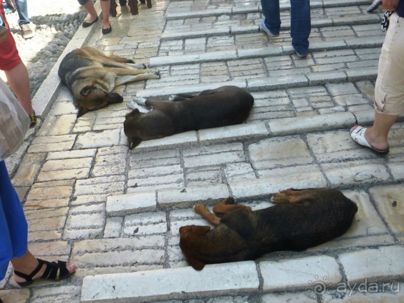 Из Дубровника в Мостар на автомобиле