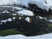 Где это - Вознесенская Давидова Пустынь