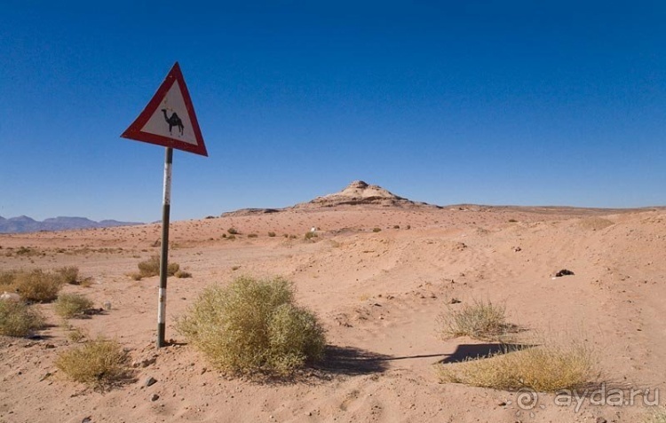 Трое в "Микре" не считая собаки (пустыня)