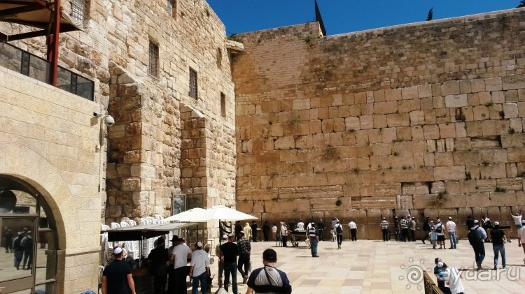 Трое в "Микре" не считая собаки (пустыня)