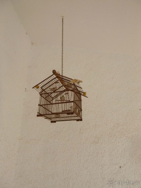 Испания. Пенискола. Стоит ли сюда ехать?