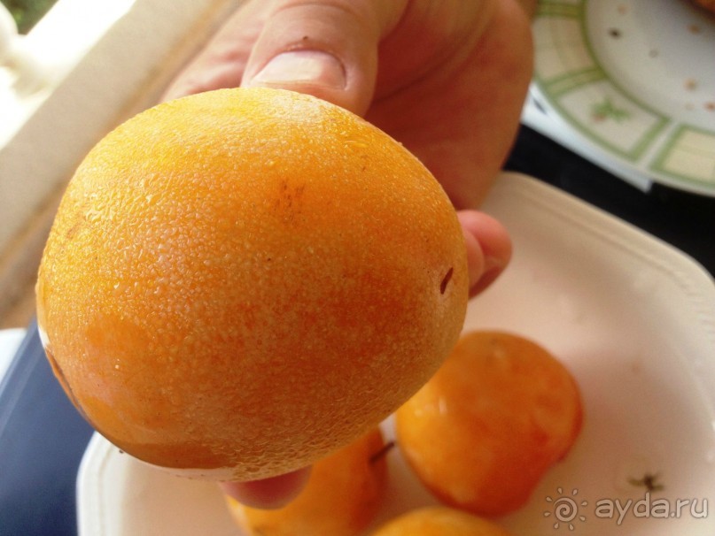 Испания. Пенискола. Стоит ли сюда ехать?