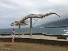 Тенерифе. Горачико. Памятник Эмигранту