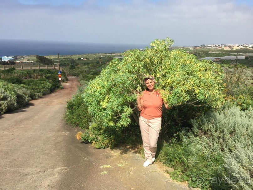 Тенерифе. Горачико. Памятник Эмигранту