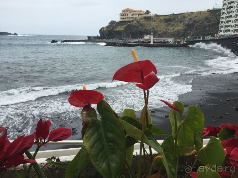 Тенерифе. Горачико. Памятник Эмигранту