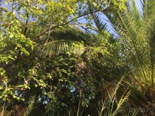 Млины. Что это?