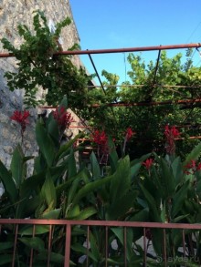 Млины. Что это?