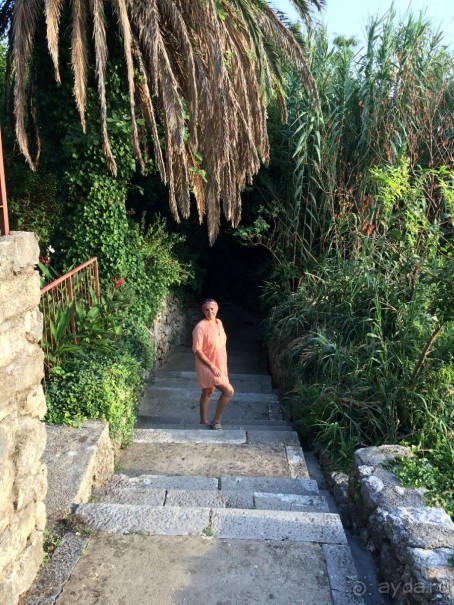 Млины. Что это?