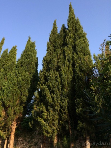 Млины. Что это?