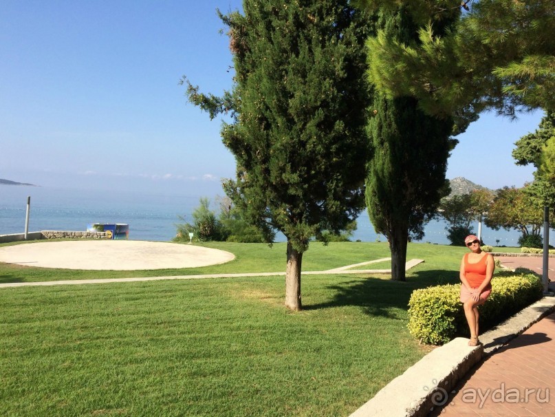 Млины. Что это?