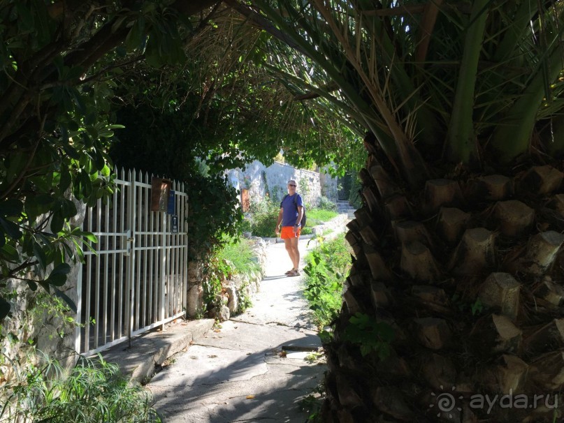 Млины. Что это?