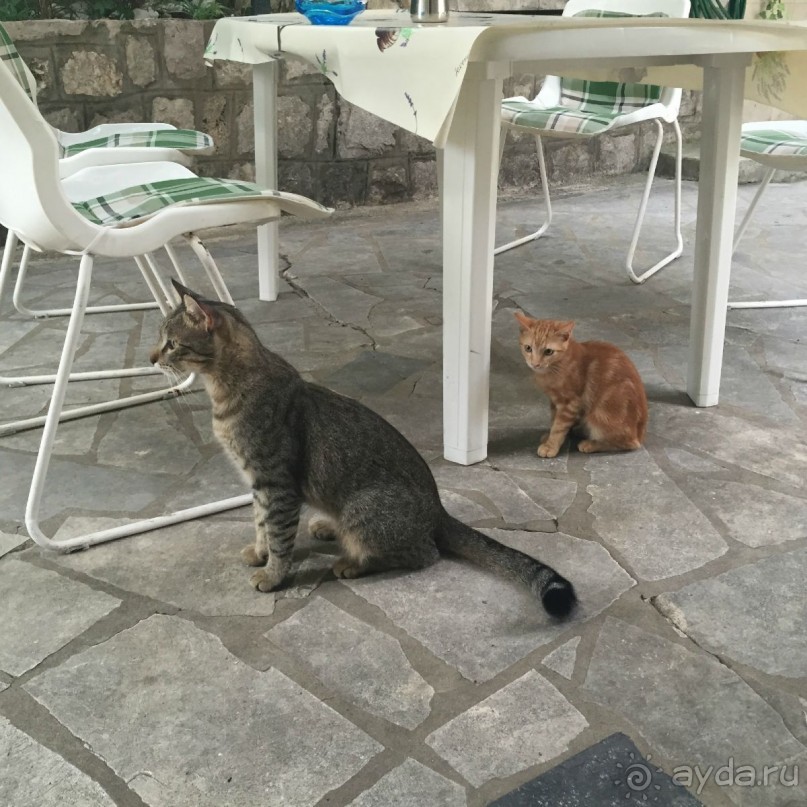 Млины. Что это?