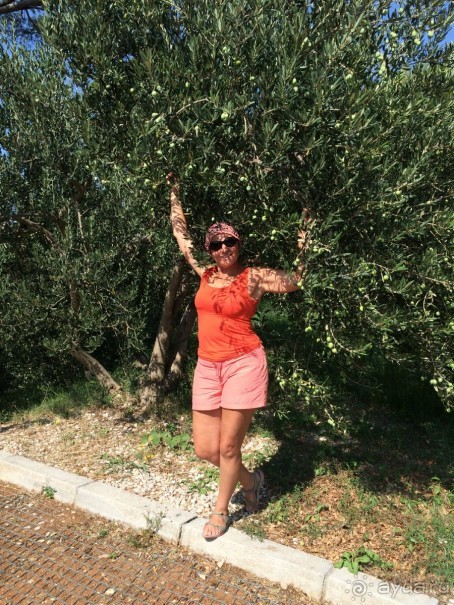 Млины. Что это?