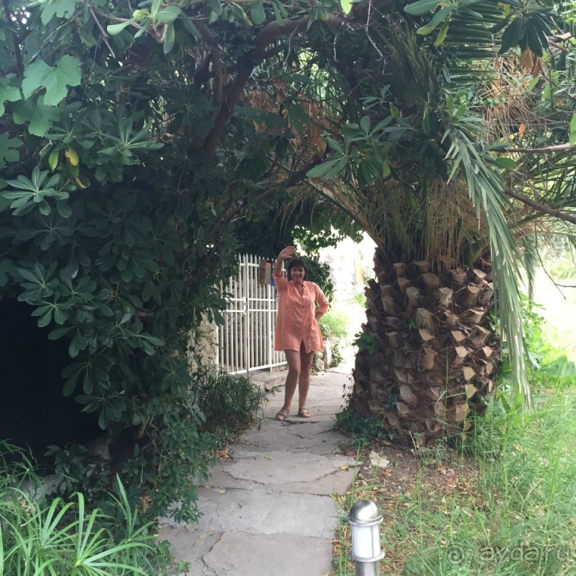 Млины. Что это?