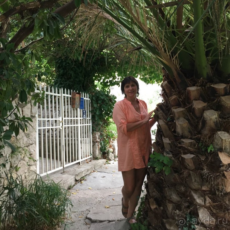 Млины. Что это?