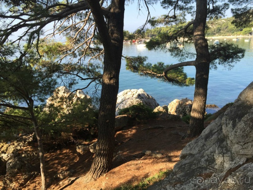 Млины. Что это?