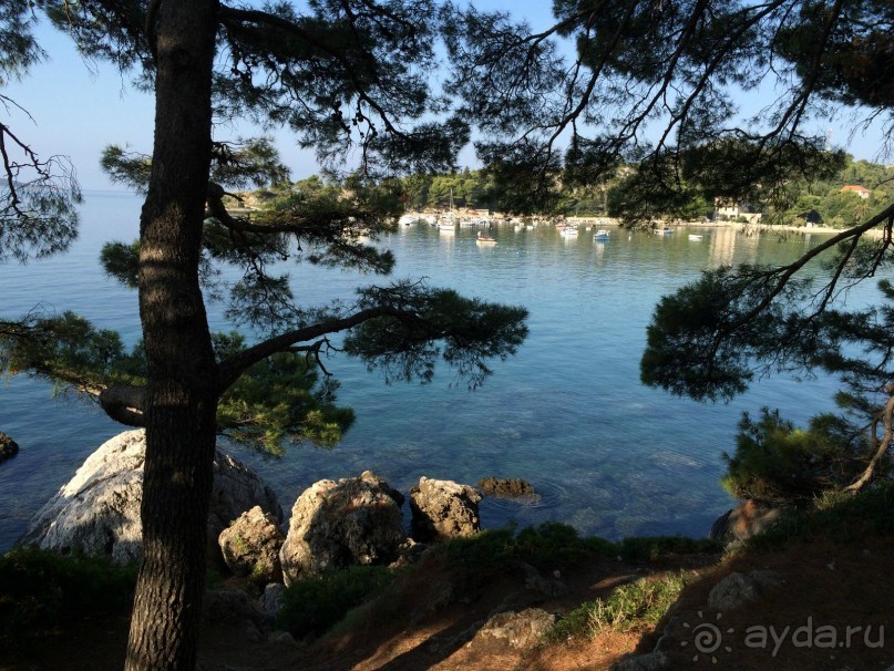 Млины. Что это?