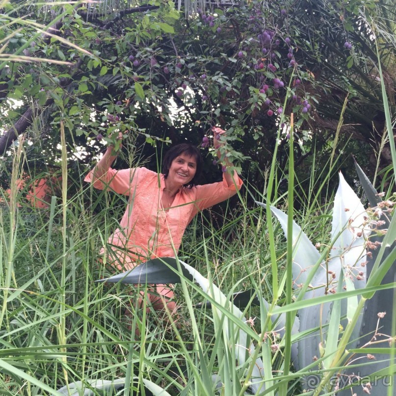 Млины. Что это?