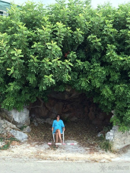 Млины. Что это?