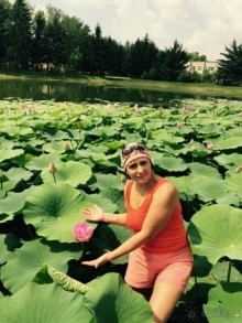 Лотосы. Дальний Восток. Амурская область