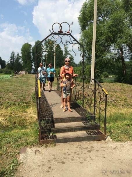 Лотосы. Дальний Восток. Амурская область