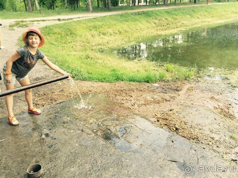 Альбом отзыва "Лотосы. Дальний Восток. Амурская область"
