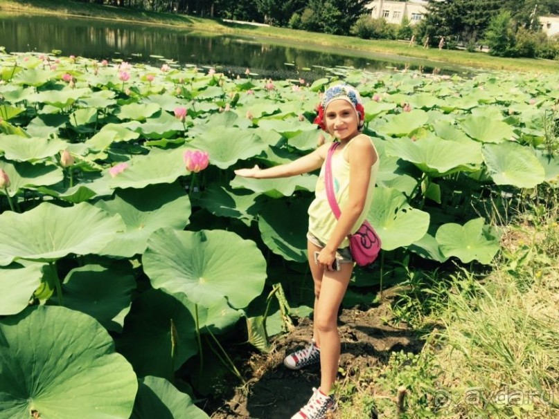 фото Благовещенска