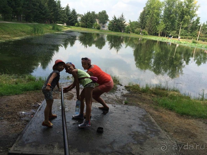 Лотосы. Дальний Восток. Амурская область